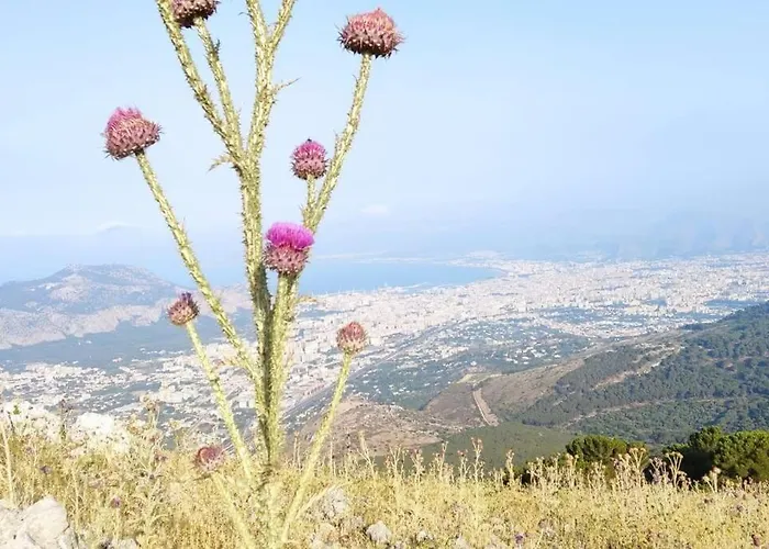 Casa 3T A Isola A 15 Min Dal Centro Di Palermo
